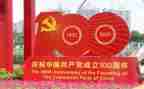 建党100周年党日活动总结6篇