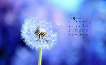 12月份月计划6篇