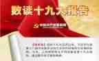 19报告心得体会7篇