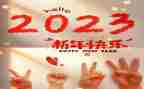 2023年医院党支部述职报告7篇