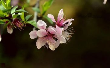 2月安全总结通用7篇