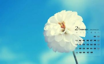 2月安全总结优秀7篇