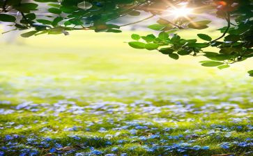 2024年3月的工作总结优秀8篇