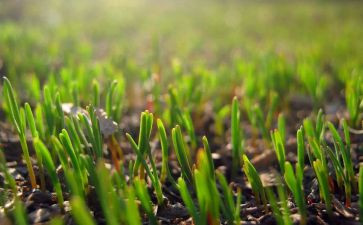 2024年3月的工作总结通用8篇