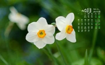 幼儿园4月个人总结6篇