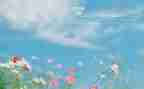 幼儿4月总结8篇