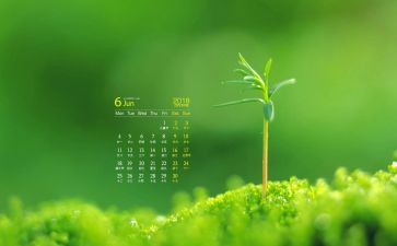 教师6月工作总结8篇