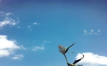 小班9月工作总结6篇