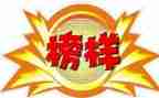 榜样的作文600字优秀5篇