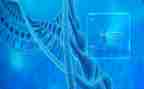 高二生物学期工作总结8篇