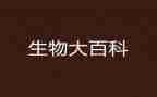 初一生物学期工作总结8篇