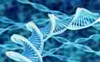 高二生物上学期工作总结8篇