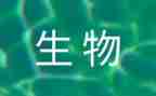 初一生物教师工作总结范文6篇