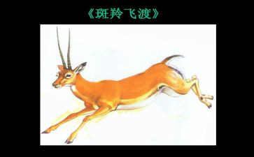 《斑羚飞渡》读后感6篇