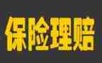 保险公司2024年度总结7篇