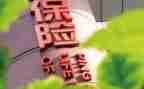 保险公司年终个人总结8篇