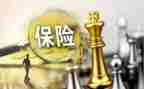保险业务员总结报告5篇