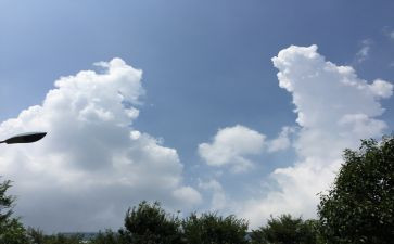 家乡的发展变化调查报告6篇