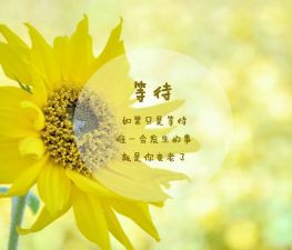 别等待作文800字8篇