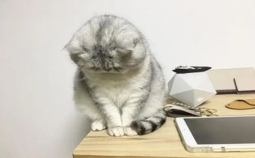 不开心的心得5篇