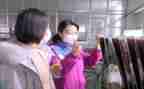 厂员个人述职报告推荐6篇