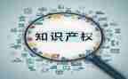 知识产权活动总结优质6篇