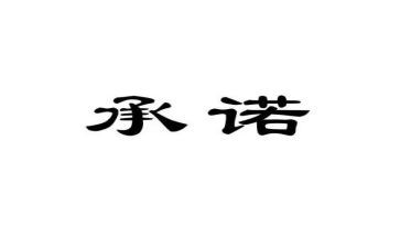 承诺类的作文推荐5篇