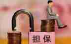 个人借款及担保合同模板6篇