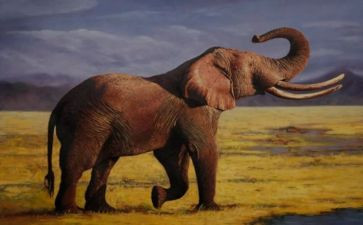 小班大象来了教案7篇