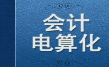 做会计电算化的心得体会通用7篇