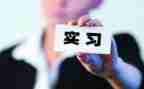 顶岗实习报告精选7篇