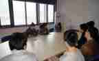 顶岗实习报告最新6篇