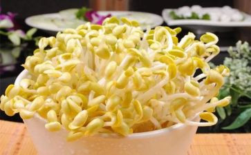 涨豆芽作文优秀6篇