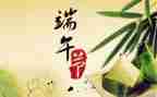 过端午的作文范文精选6篇