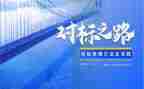 企业对标工作总结范文参考8篇