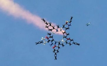 多姿多彩的花作文5篇