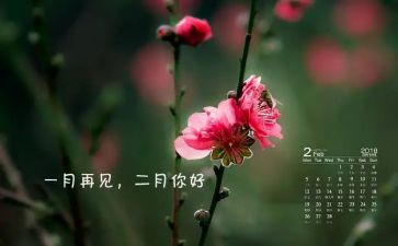 小班十二月总结8篇