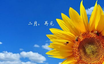 十二月份幼儿园工作总结8篇