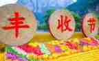 县农民丰收节活动方案8篇