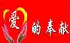 讲担当奉献的演讲稿5篇