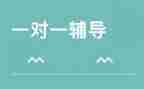 语文辅导工作总结6篇
