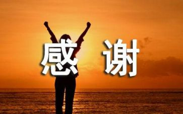 感谢有您作文800字作文优质7篇