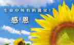 感谢我作文600字推荐8篇