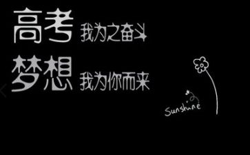 高考作文800字最新8篇