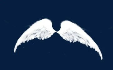 长翅膀的书作文最新5篇