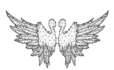 长翅膀的书作文优秀7篇