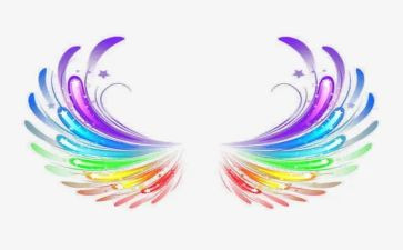 长翅膀的书作文精选7篇