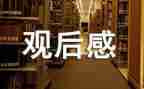 2024年事故警示教育观后感7篇