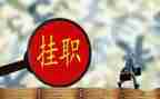 上挂职干部个人总结6篇
