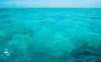 海龙湖作文6篇